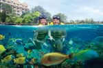 Adventure Cove Waterpark Singapore