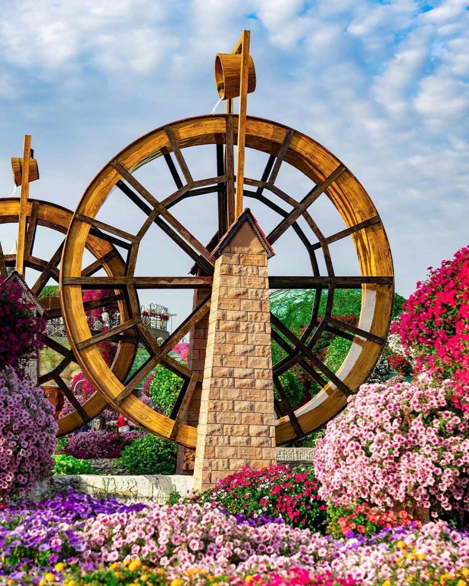 Miracle Garden Dubai - Image 6