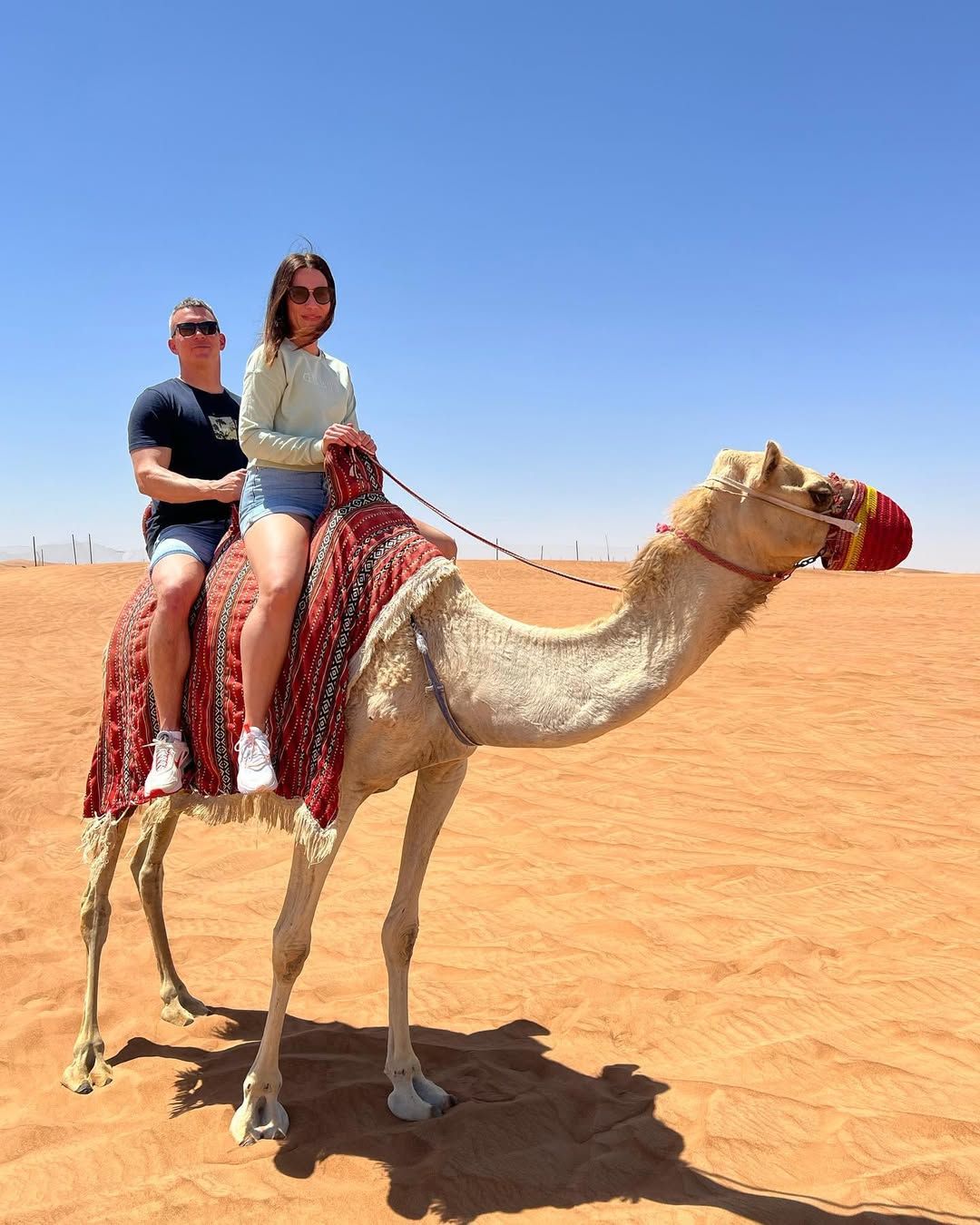 Desert Safari - Abu Dhabi - Image 3