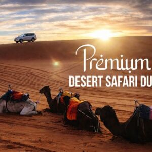 Premium Desert Safari - Dubai
