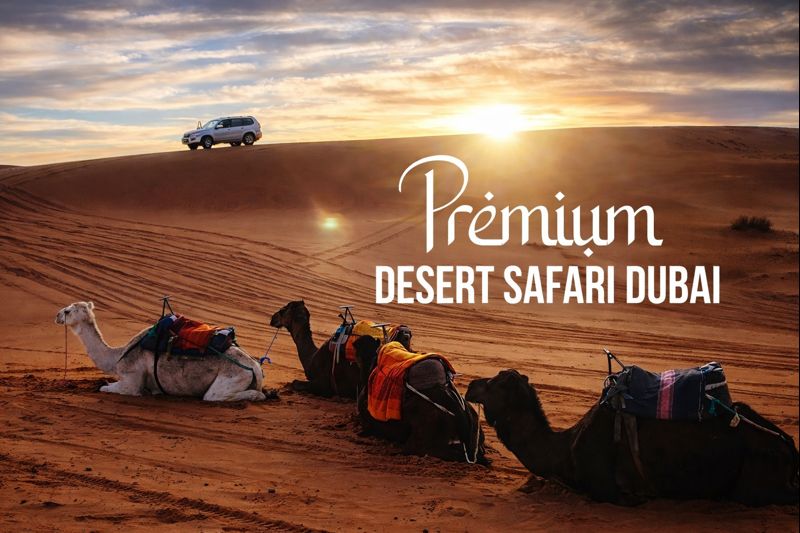 Premium Desert Safari - Dubai
