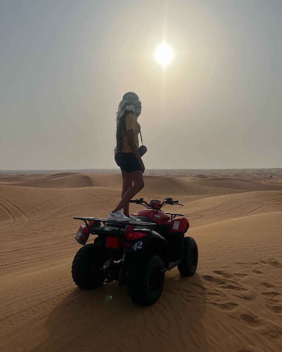 Desert Safari - Abu Dhabi - Image 6