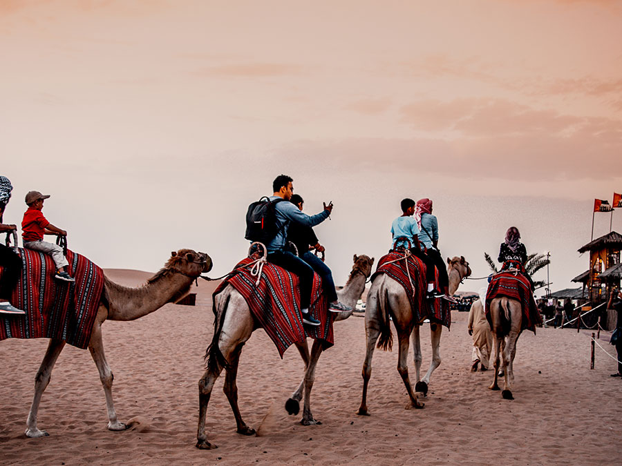 Desert Safari Dubai - Image 4