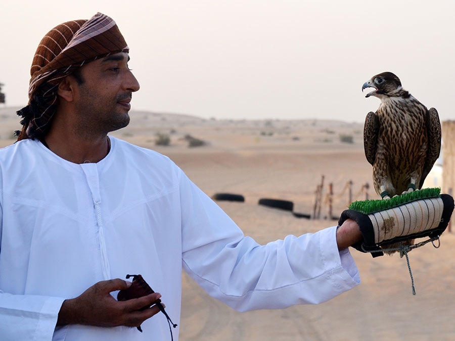 Desert Safari Dubai - Image 3