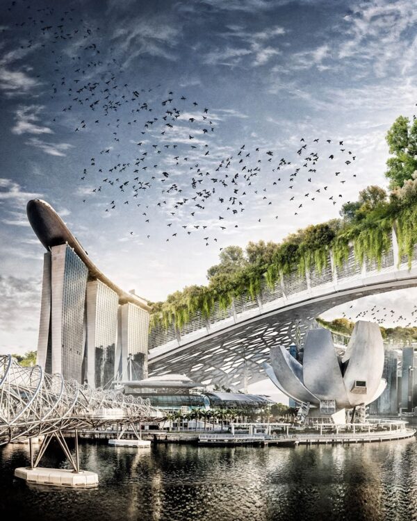 ArtScience Museum Singapore City view