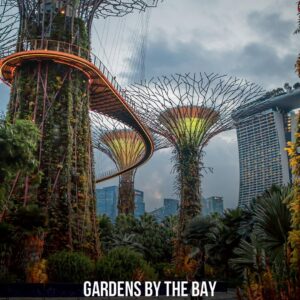 Supertree Grove at Gardens by the Bay