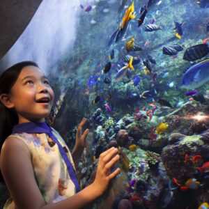 The Lost Chambers Aquarium
