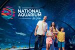 The National Aquarium Abu Dhabi