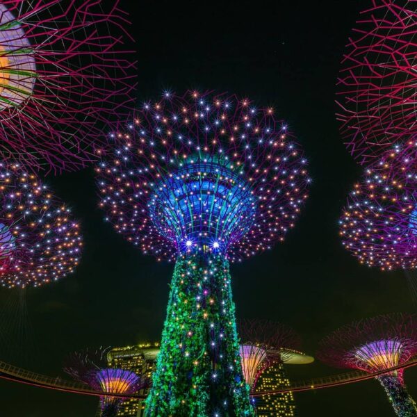 Singapore_is_a_natural_gateway_for_international_firms_looking_to_access_Asia_and_for_Asian_businesses_to1
