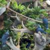 The Green Planet Dubai