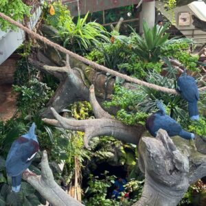The Green Planet Dubai