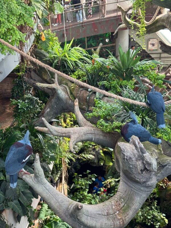 The Green Planet Dubai