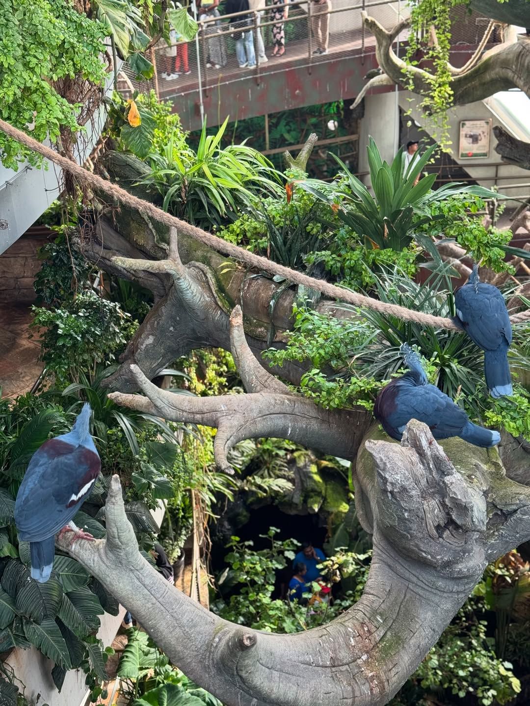 The Green Planet Dubai