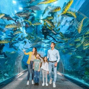 Dubai Mall Aquarium & Underwater Zoo
