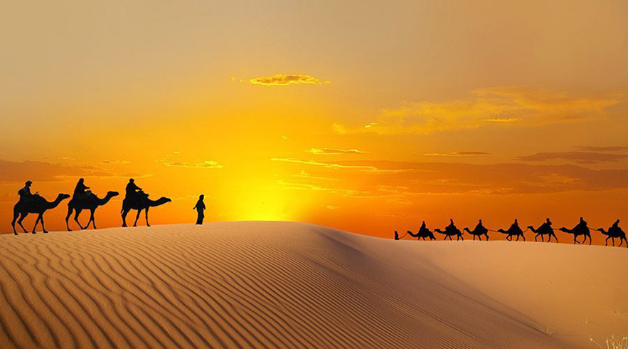 Liwa Safari - Image 2