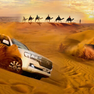 Liwa Safari