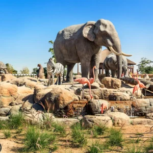 Dubai Safari Park
