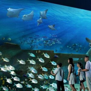 S.E.A. Aquarium Singapore