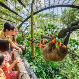 Singapore Zoo