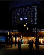 Night Safari Singapore