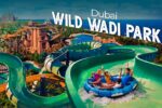 Wild Wadi Waterpark