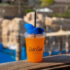 Wild Wadi Water Park-With Meal