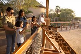 Things to do in Al Ain