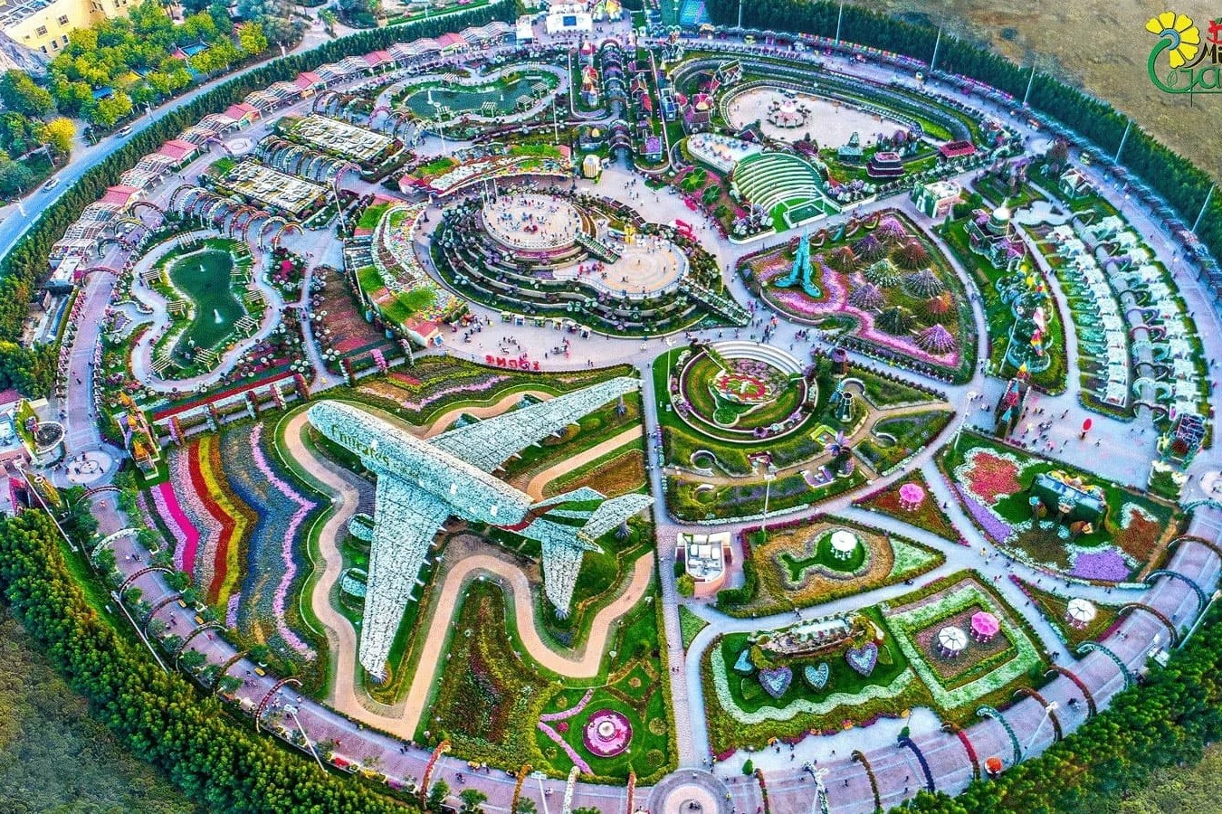 Dubai Miracle Garden - Image 6