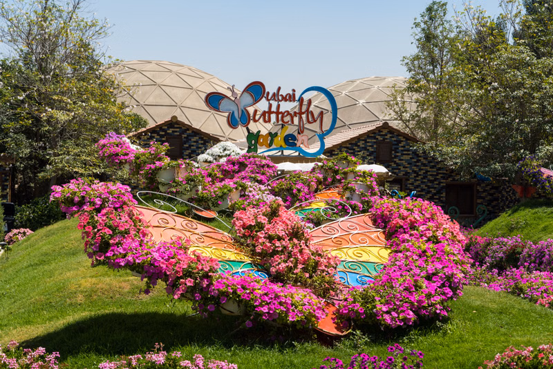 Dubai Miracle Garden - Image 4