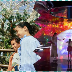 The Green Planet + AYA Universe