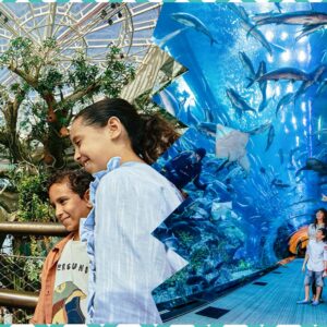 The Green Planet + Dubai Aquarium And Penguin Cove