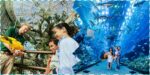 The Green Planet + Dubai Aquarium And Penguin Cove