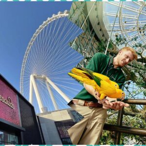 The Green Planet + Madame Tussauds Dubai