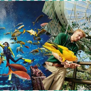 The Green Planet + The Lost World Aquarium