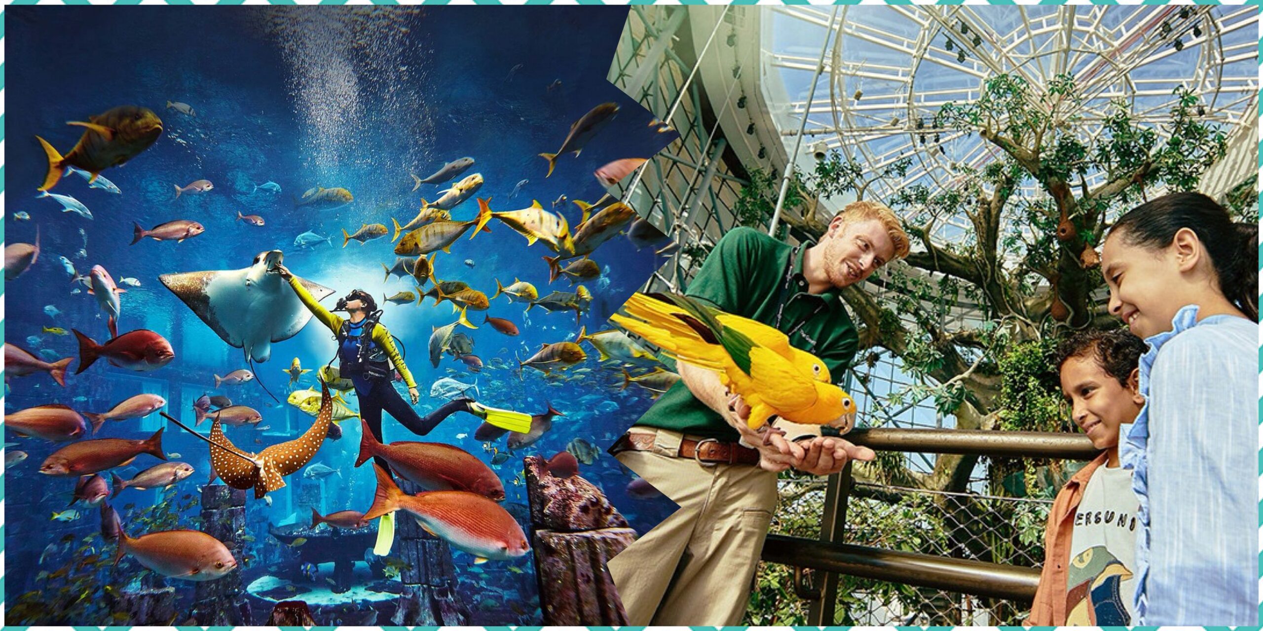 The Green Planet + The Lost World Aquarium