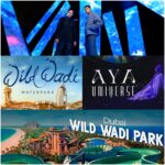 AYA Universe + Wild Wadi Waterpark
