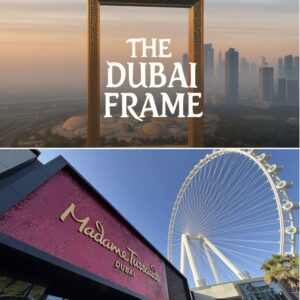 Dubai Frame + Madame Tussauds Dubai