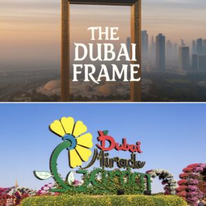 Dubai Frame + Miracle Garden