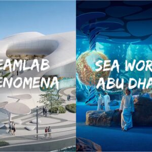 teamLab Phenomena + SeaWorld Abu Dhabi Combo
