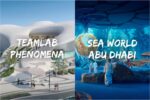 teamLab Phenomena + SeaWorld Abu Dhabi Combo