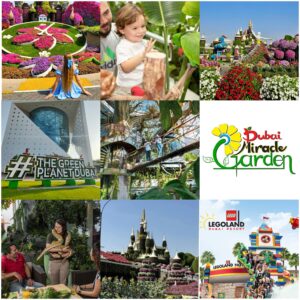 Miracle Garden + The Green Planet Dubai