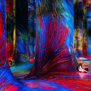 TeamLab Phenomena + Warner Bros. World