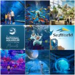 The National Aquarium + Sea World Abu Dhabi