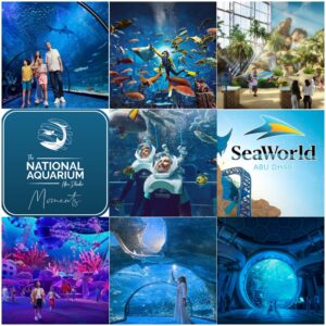 The National Aquarium + Sea World Abu Dhabi