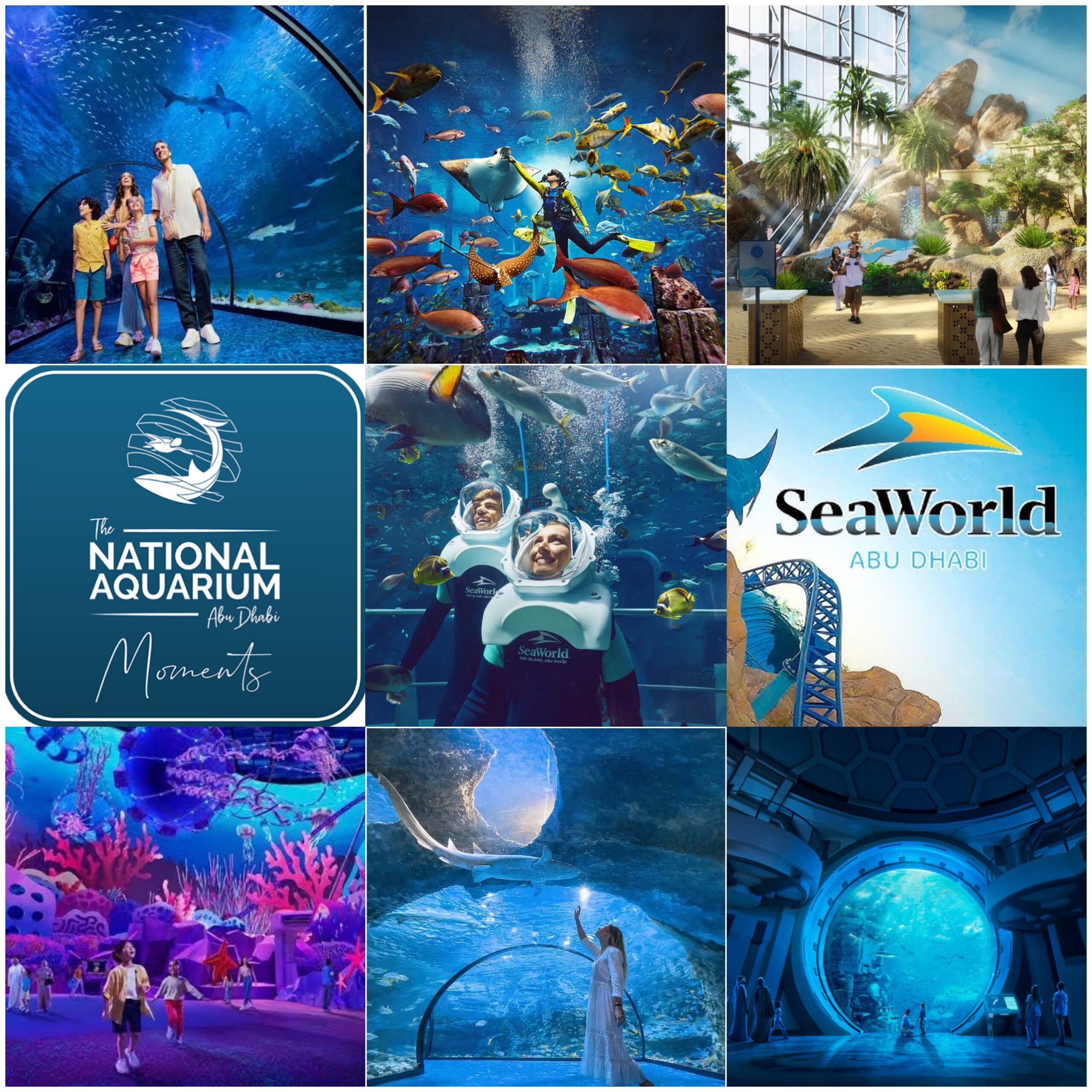 The National Aquarium + Sea World Abu Dhabi