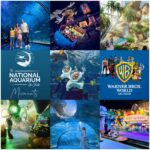 The National Aquarium + Warner Bros. World