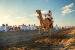 Camel Riding In Dubai