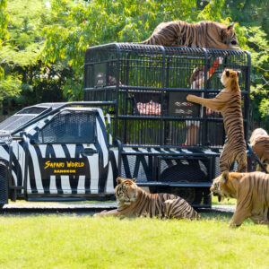Safari World - Safari Park Bangkok