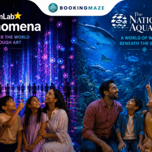 TeamLab Phenomena + The National Aquarium