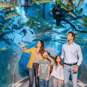 Dubai Frame + Dubai Aquarium and Underwater Zoo